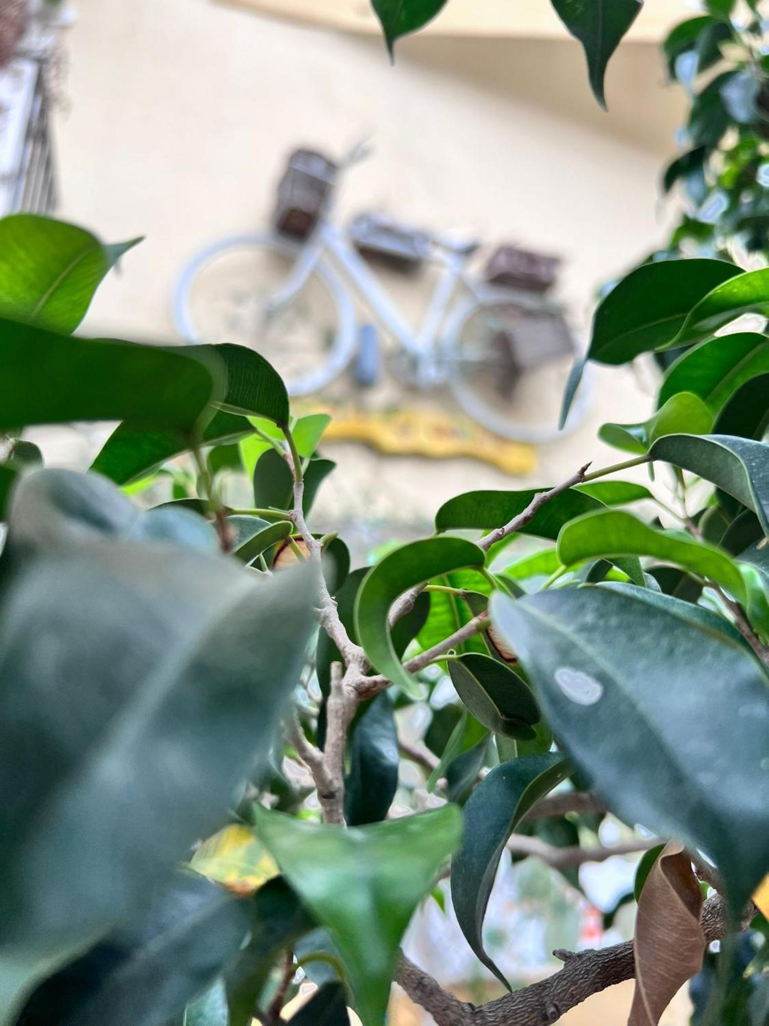 Bahalara Alloggio Palermo Buitenkant foto